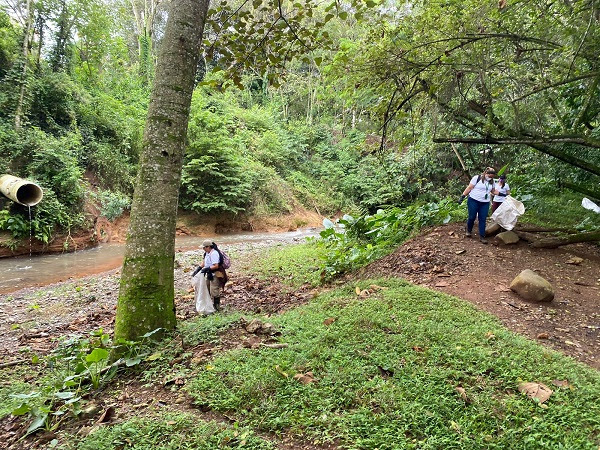 Se sembraron 6.000 alevinos de bocachico en el río Pance en Cali