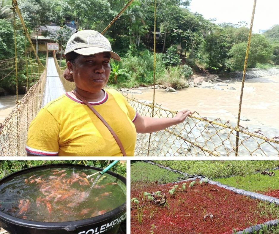 Con proyectos que fomentan la pesca y la agricultura se mueve la economía de municipios PDET
