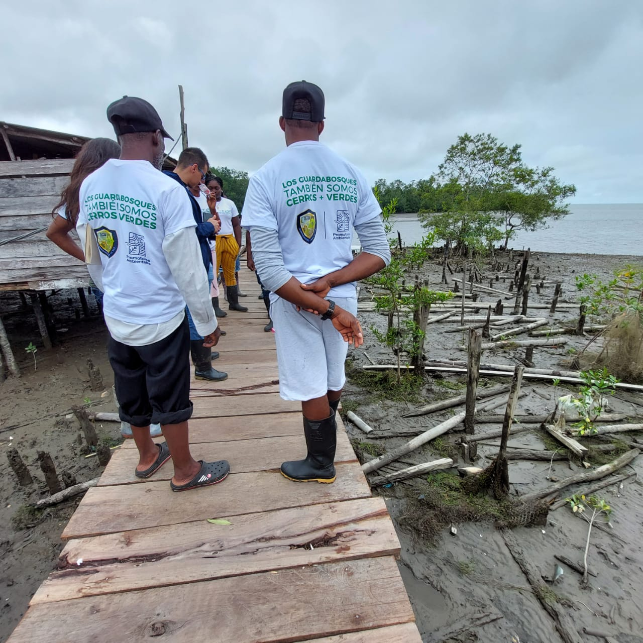 En Buenaventura, la CVC está trabajando para mitigar la erosión costera