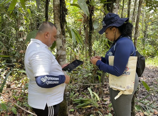 Avanza el proceso de ahuyentamiento del jaguar en Piangüita