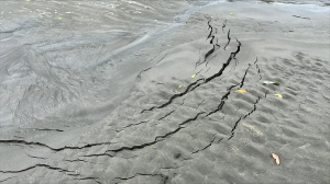 La CVC busca tratar erosión costera en Punta Bonita, Buenaventura