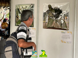 Con participación de comunidad se realizó Exposición Fotográfica del Patrimonio Material en el Distrito Especial de Buenaventura