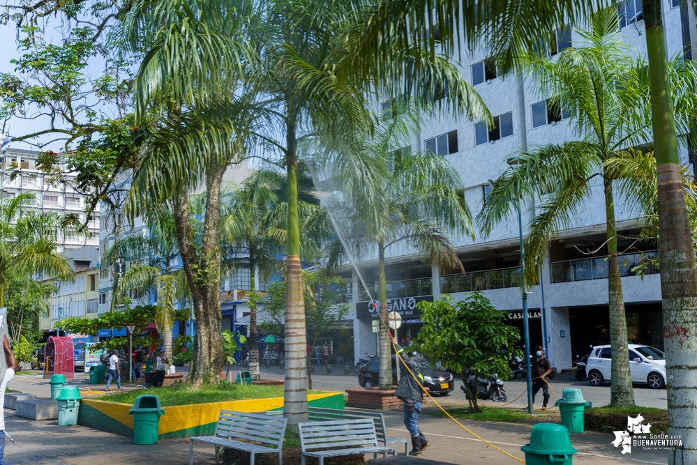 La Fundación Ideas Bahía de la Cruz dio inicio a la fumigación de las palmas y árboles en el Malecón de Buenaventura