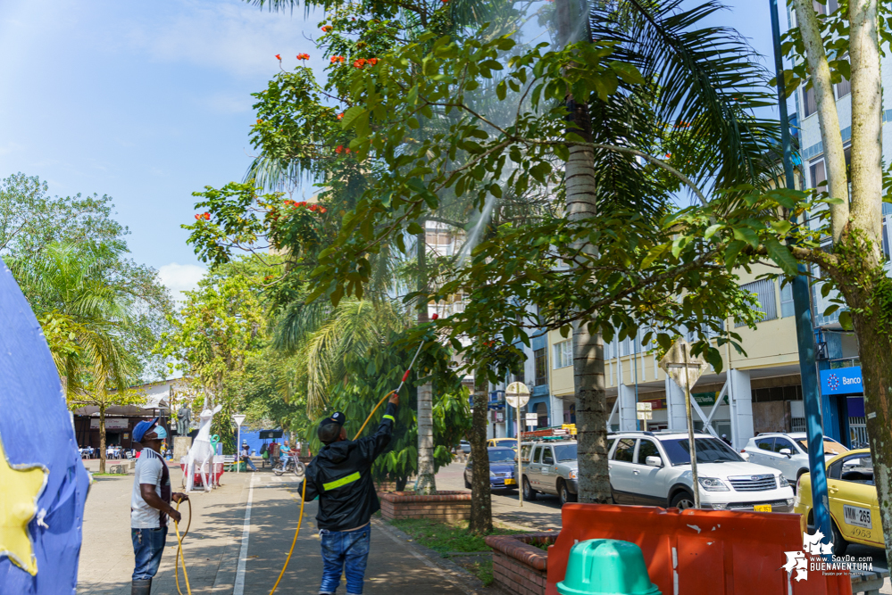 La Fundación Ideas Bahía de la Cruz dio inicio a la fumigación de las palmas y árboles en el Malecón de Buenaventura