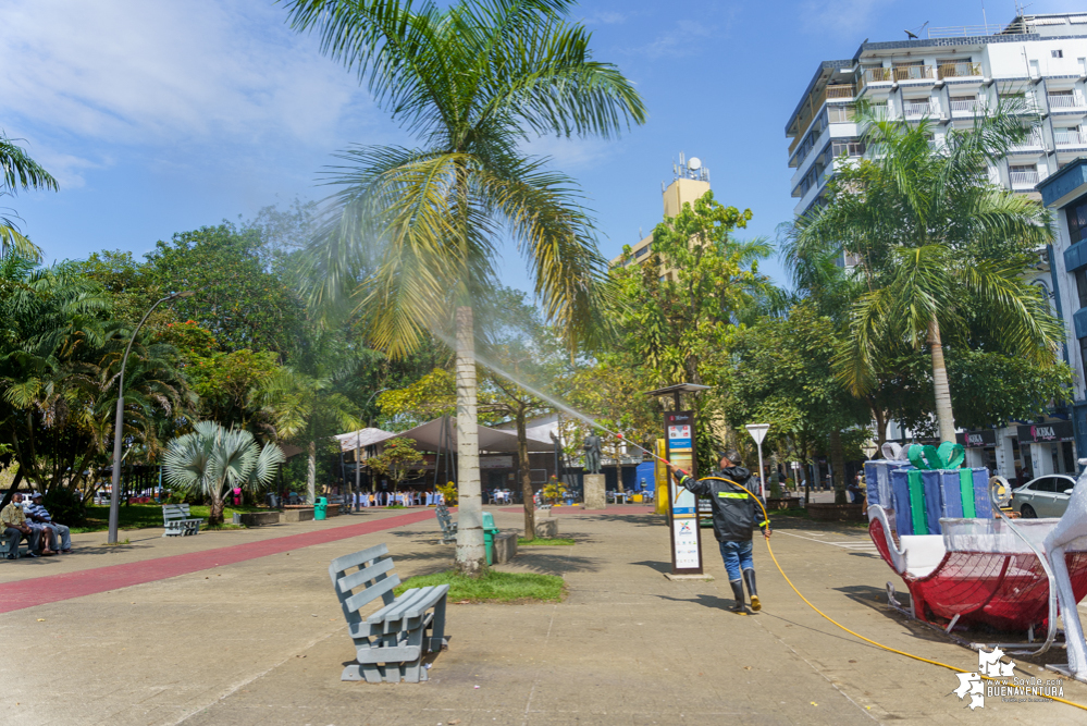 La Fundación Ideas Bahía de la Cruz dio inicio a la fumigación de las palmas y árboles en el Malecón de Buenaventura