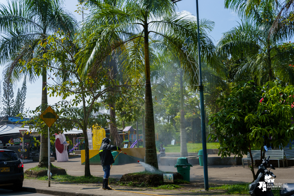 La Fundación Ideas Bahía de la Cruz dio inicio a la fumigación de las palmas y árboles en el Malecón de Buenaventura