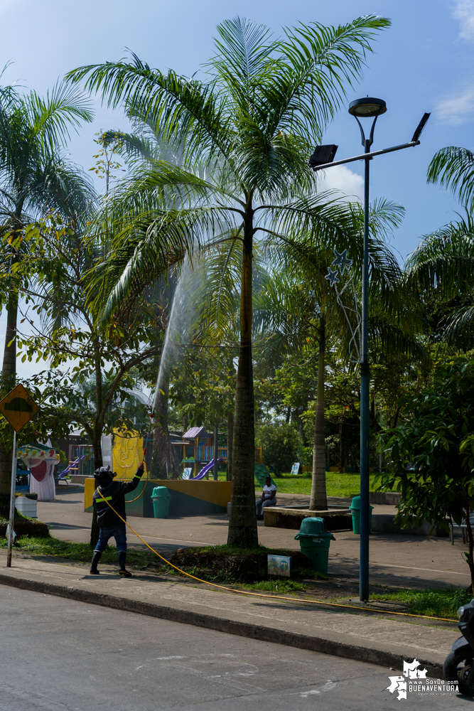 La Fundación Ideas Bahía de la Cruz dio inicio a la fumigación de las palmas y árboles en el Malecón de Buenaventura