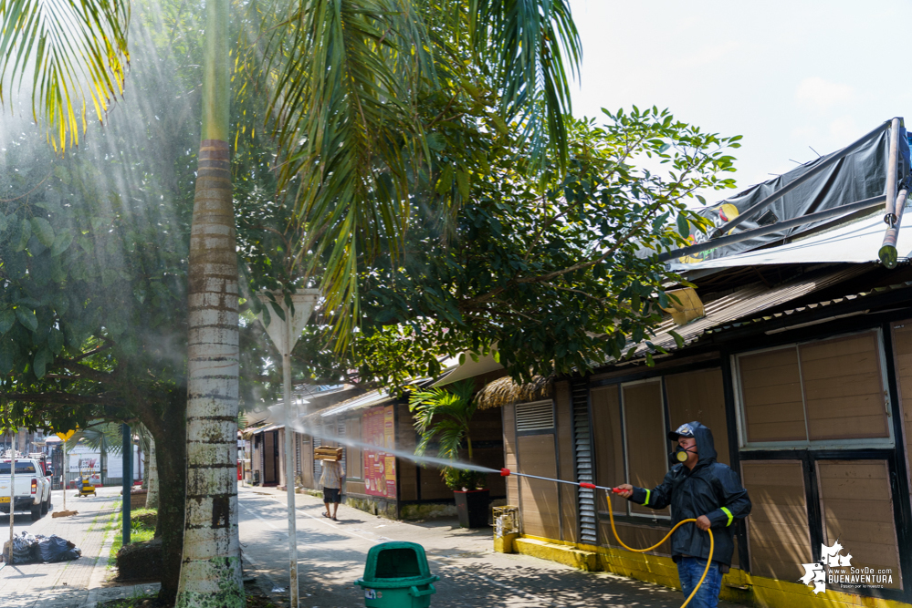 La Fundación Ideas Bahía de la Cruz dio inicio a la fumigación de las palmas y árboles en el Malecón de Buenaventura