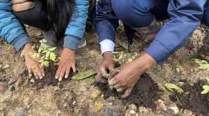 Proyecto Ambiental Escolar en Buenaventura quiere ser ejemplo en el 2023