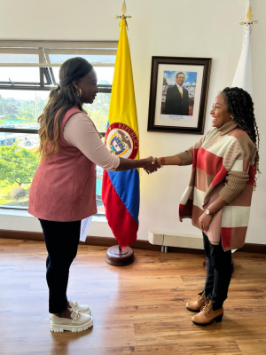 Marlyn Dayanna Merizalde Cárdenas, de Buenaventura, se posesionó como Directora de Inspección, Vigilancia y Control del Min Deporte