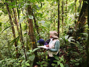 Nueva especie de orquídea es descubierta en Buenaventura
