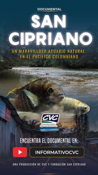 Conozca el sorprendente acuario natural de San Cipriano