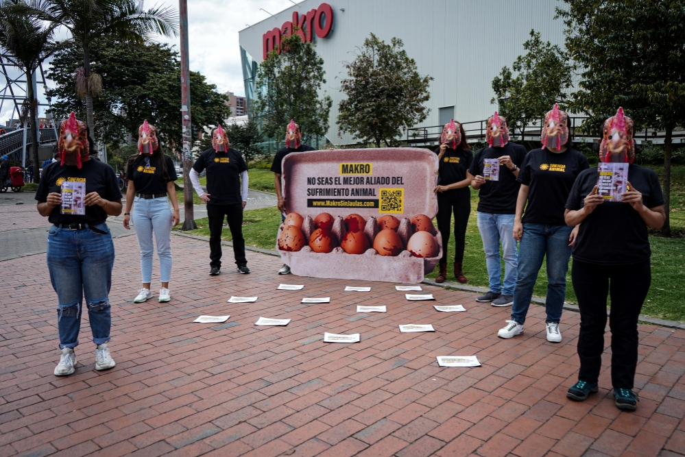 Protesta pacífica internacional, exige a Makro dejar de vender huevos de gallinas en jaulas de batería