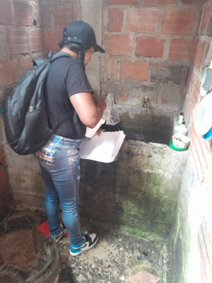Secretaría de Salud adelanta actividades de control para evitar la proliferación de los zancudos en Buenaventura