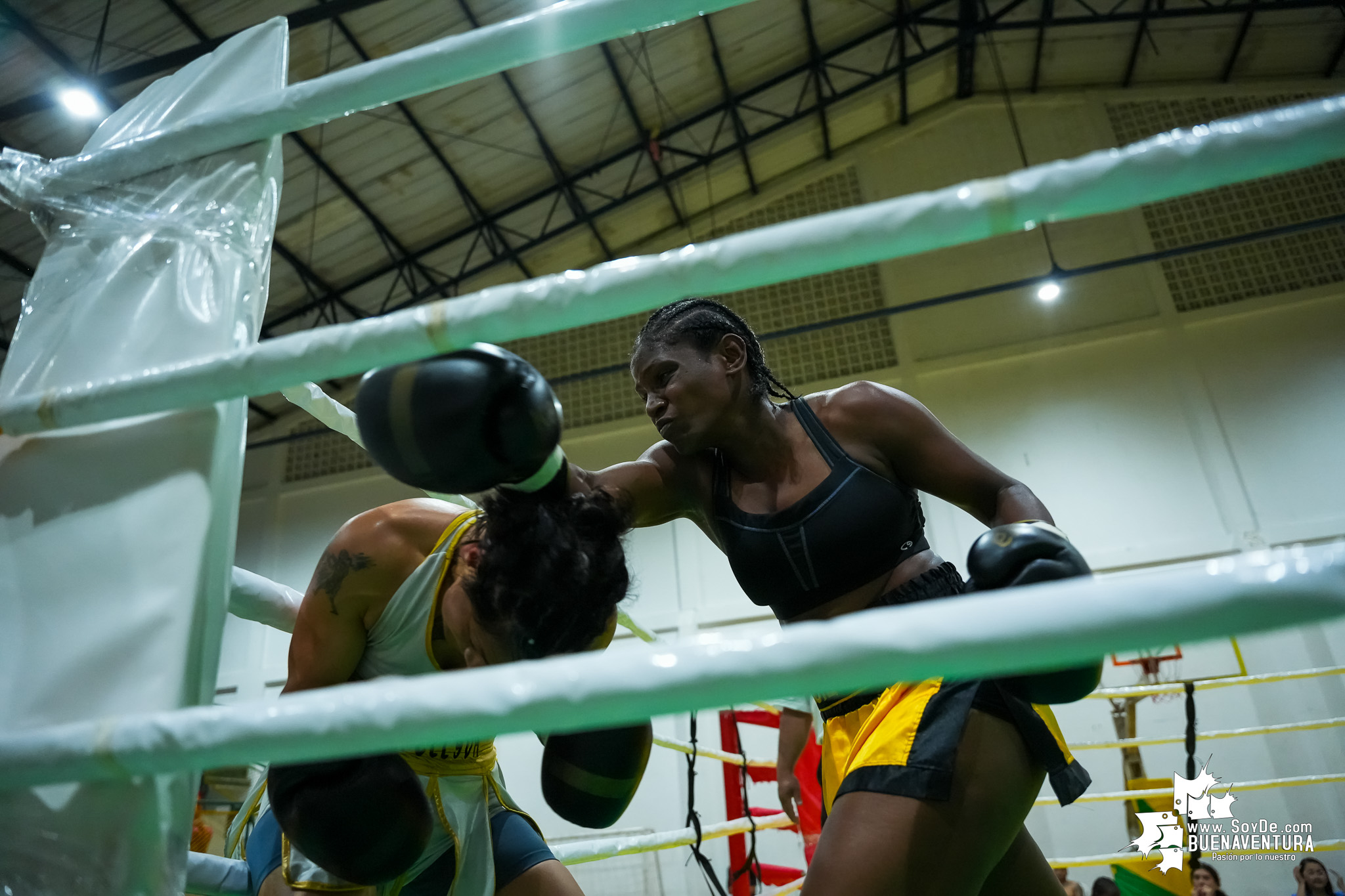 Buenaventura disfrutó la velada de boxeo nacional e internacional