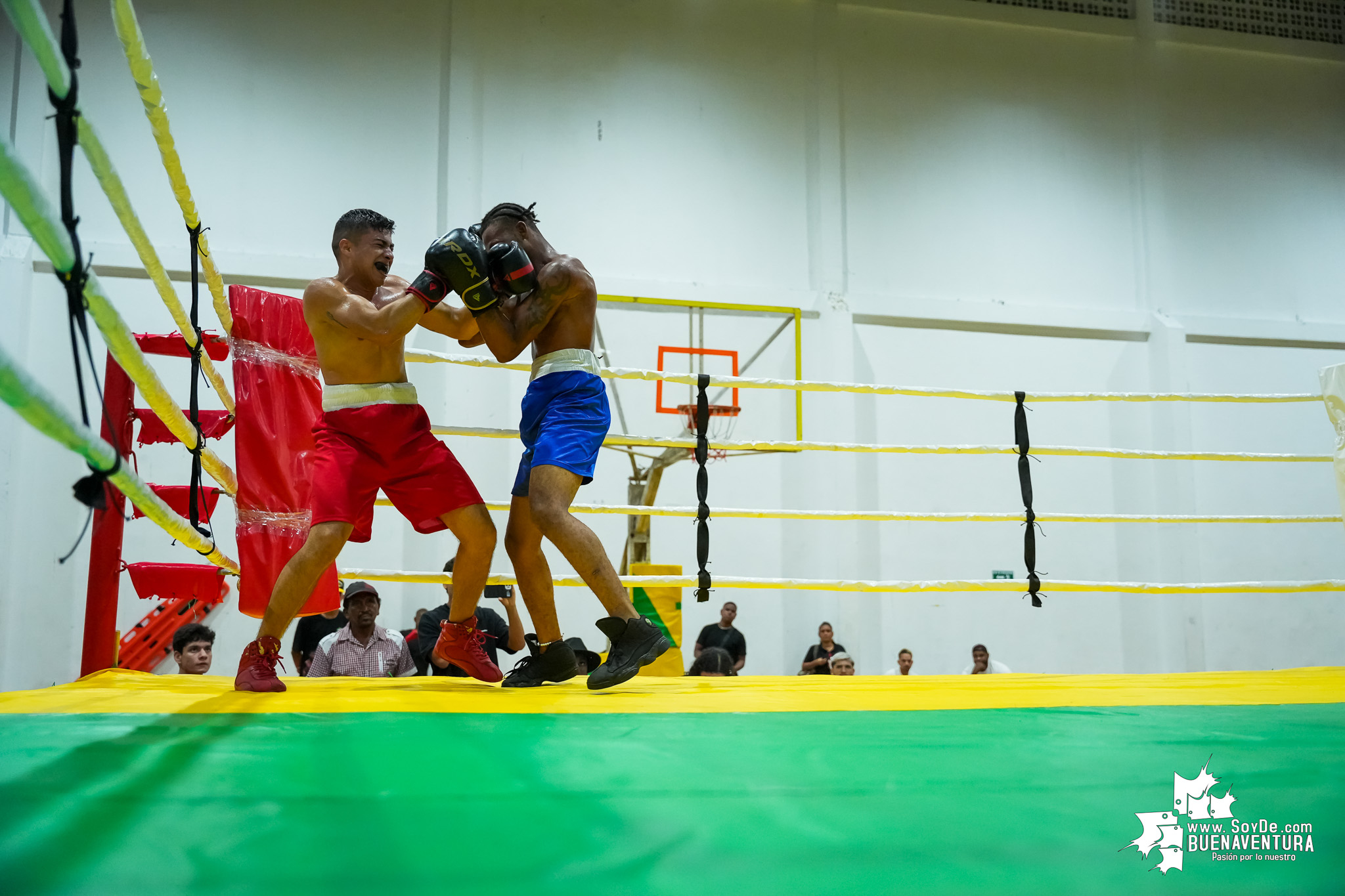 Buenaventura disfrutó la velada de boxeo nacional e internacional