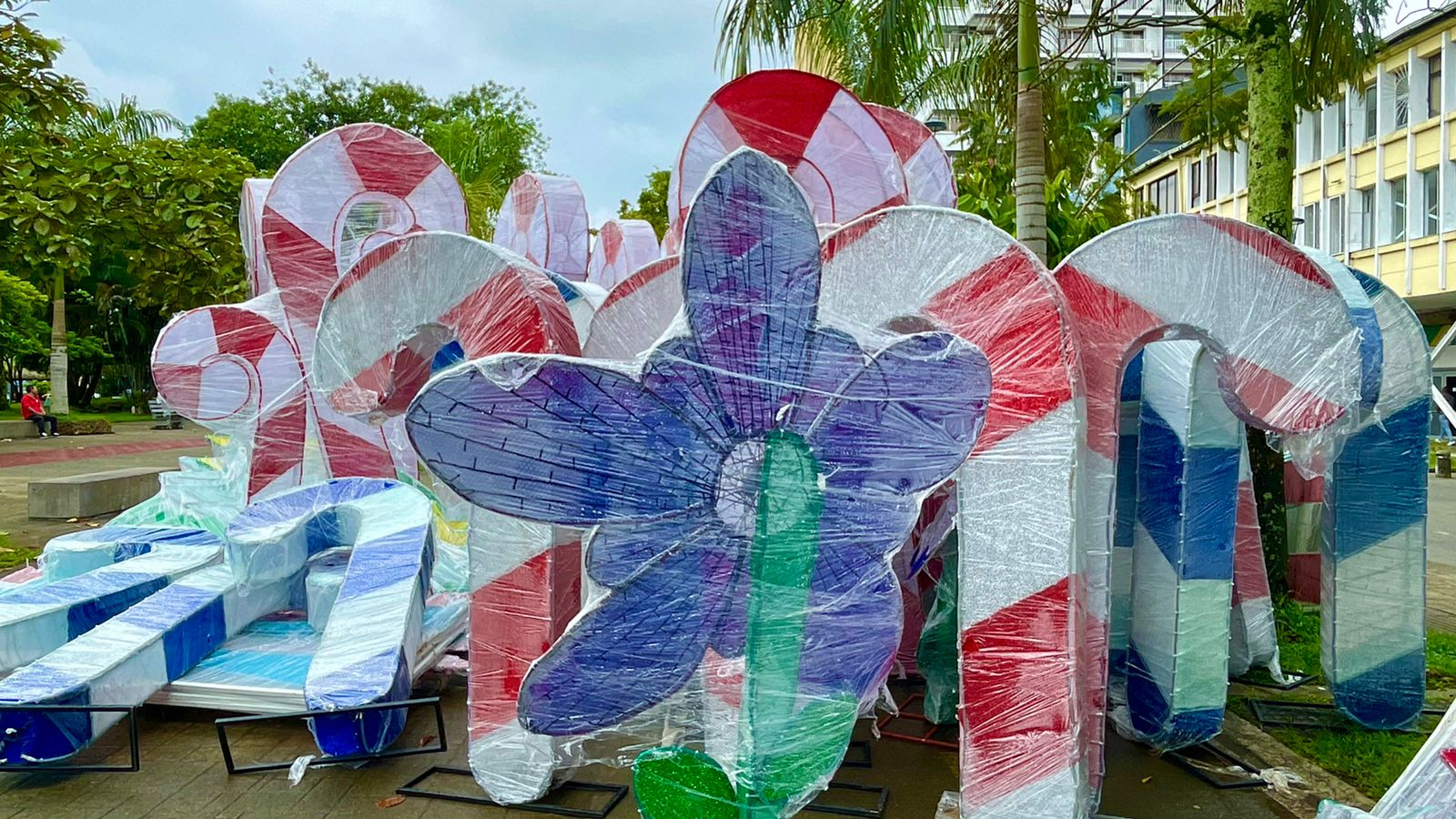Llega la magia de la navidad con el alumbrado decembrino al Distrito Especial Buenaventura 