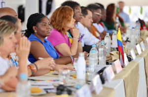 La Alcaldesa Distrital de Buenaventura se reunió con el Consejo de Seguridad de la ONU, y el Gobierno nacional