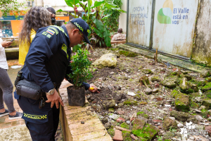 Con sembratón la Gestora de Paz de Buenaventura inició conmemoración del Día de la Memoria y la Solidaridad con las Víctimas