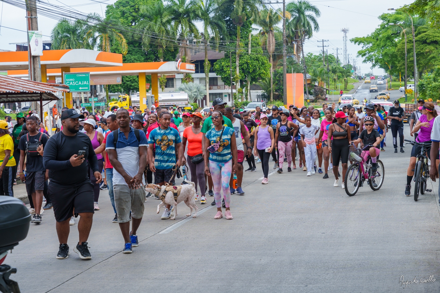 Bonaverenses se gozaron el ciclopaseo "Camino al Dagua"
