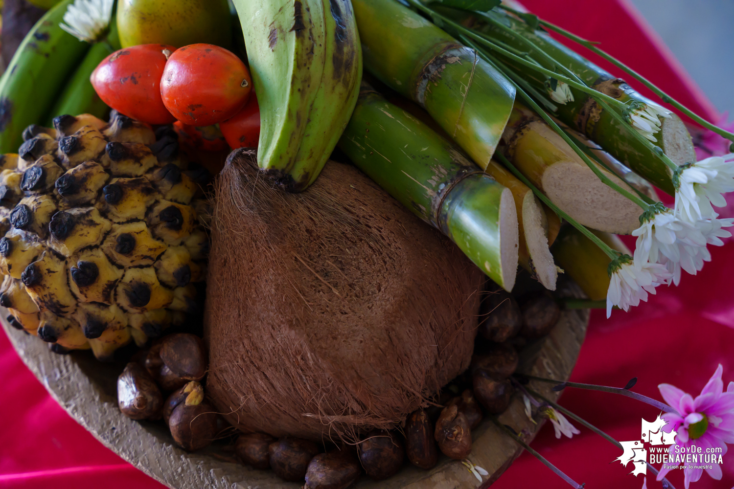 Con Misa Inculturada sigue en Buenaventura la conmemoración del Mes de la Afrocolombianidad