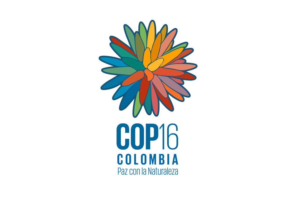 El Valle del Cauca declara la Alerta Naranja Hospitalaria por la COP16