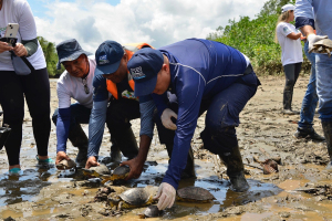 Se realizó la liberación de 74 animales de la fauna silvestre en La Bocana 