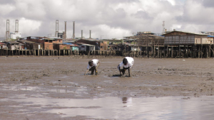 Buenaventura: Saberes ancestrales y tecnología se unen para recuperar estructuras óseas en el estero San Antonio