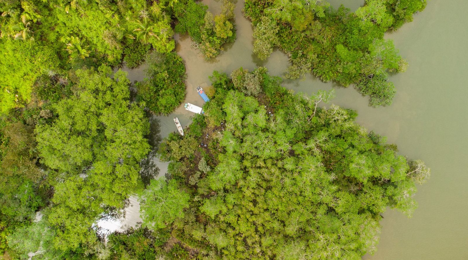 La Vereda Gamboa en Buenaventura: Nueva Área Protegida en el Valle del Cauca