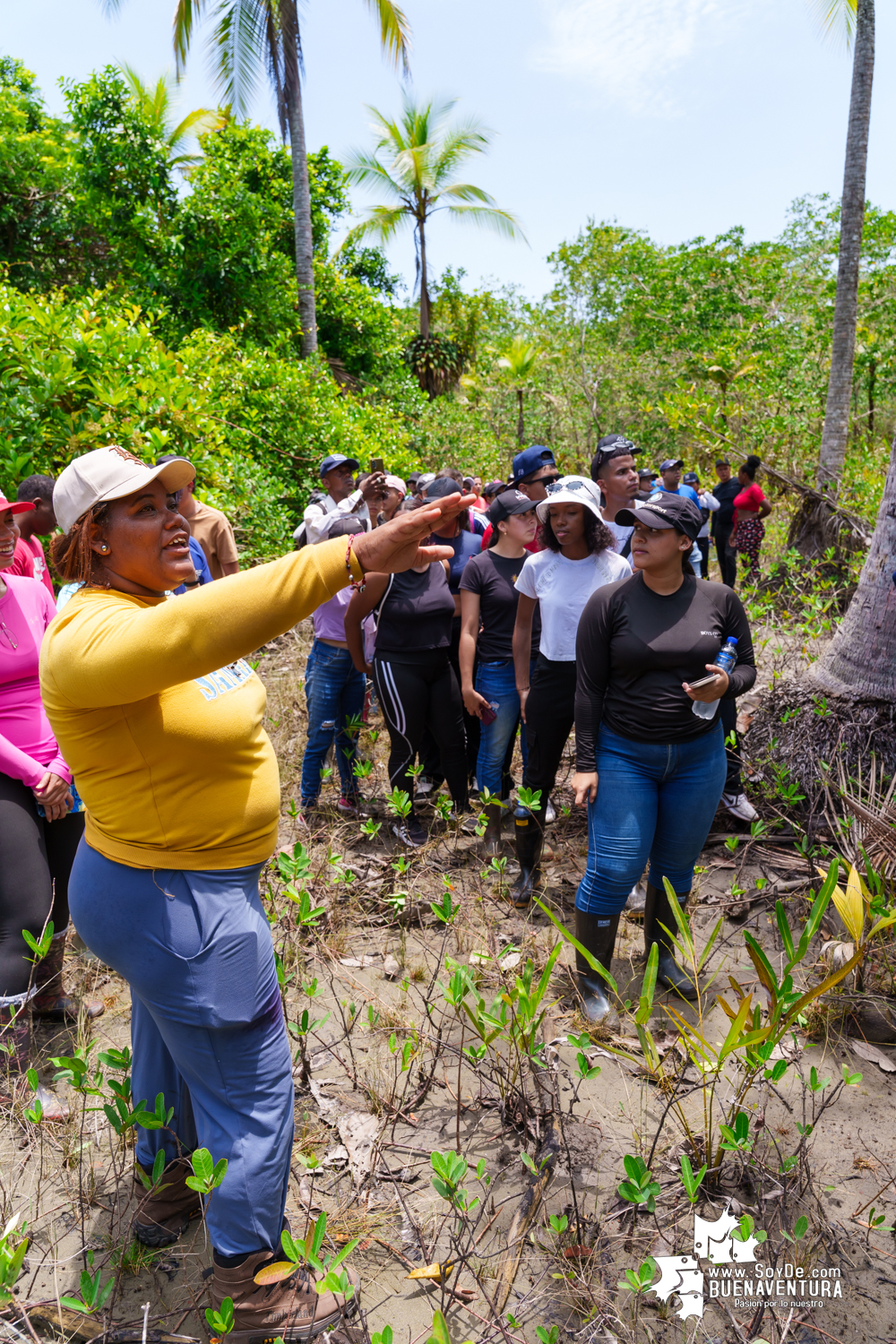 Se realizó jornada ambiental por la conservación de los manglares en Bazán La Bocana
