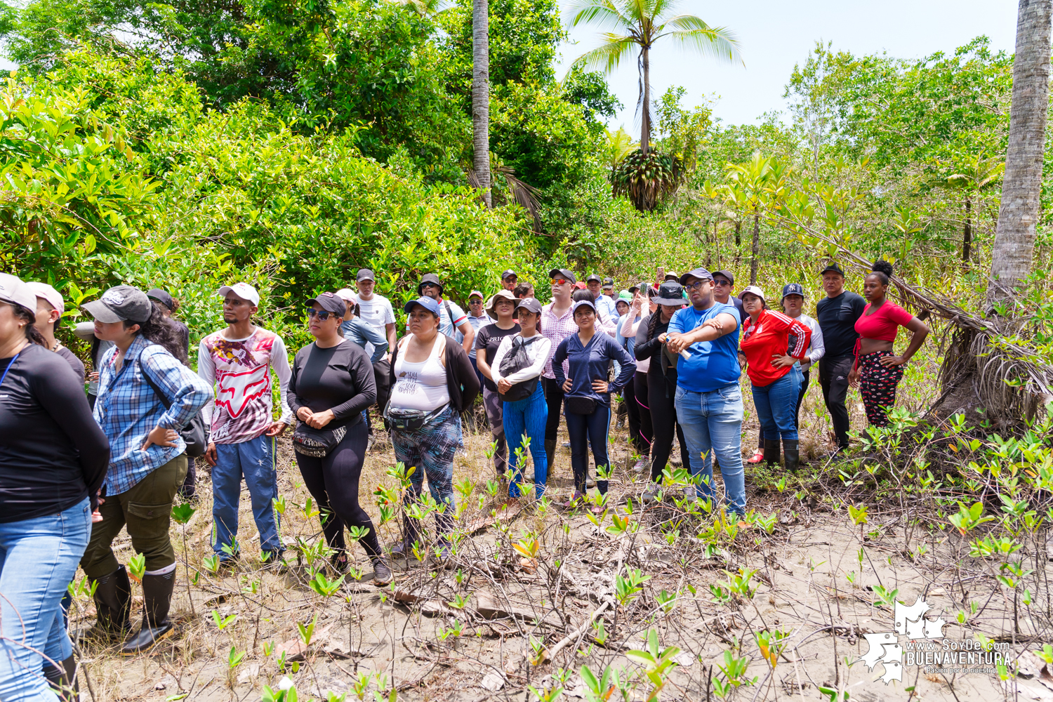 Se realizó jornada ambiental por la conservación de los manglares en Bazán La Bocana