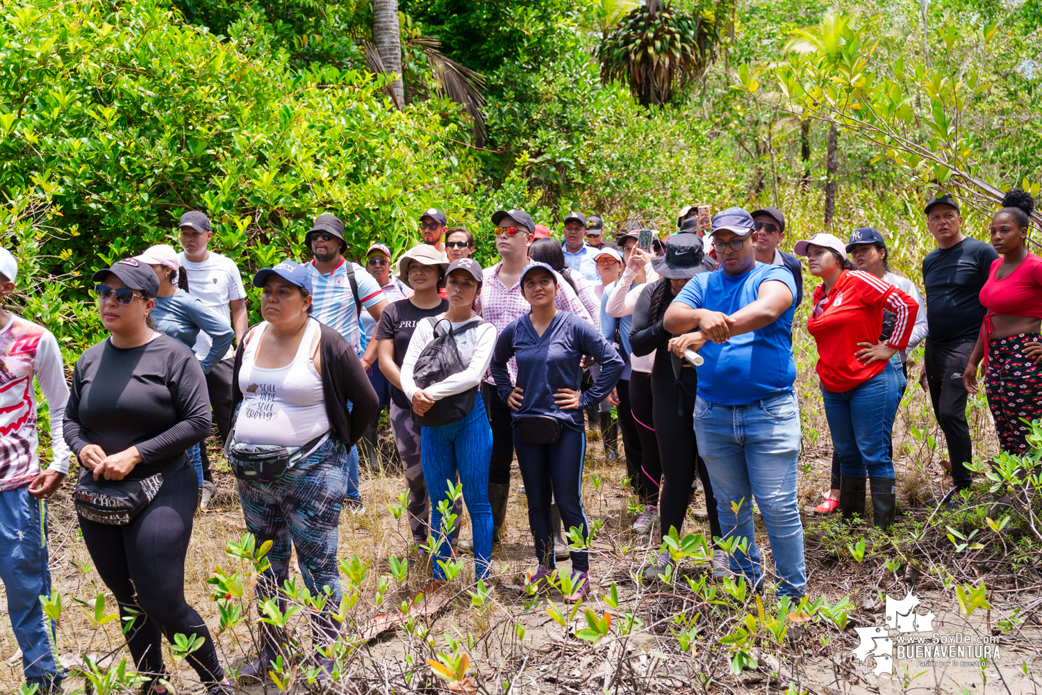Se realizó jornada ambiental por la conservación de los manglares en Bazán La Bocana