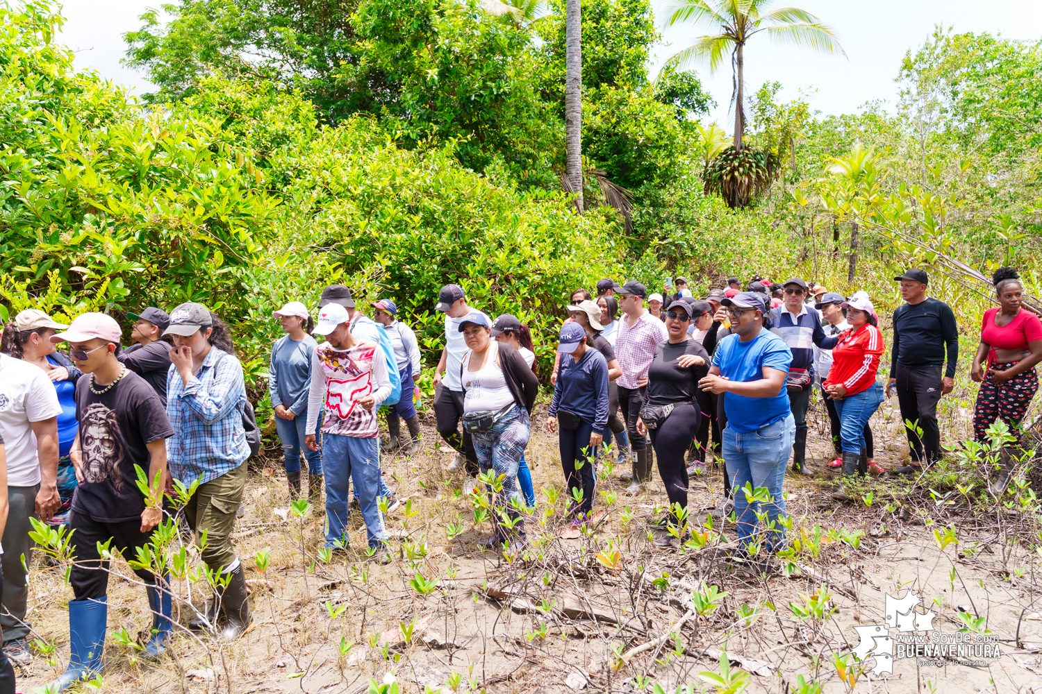 Se realizó jornada ambiental por la conservación de los manglares en Bazán La Bocana