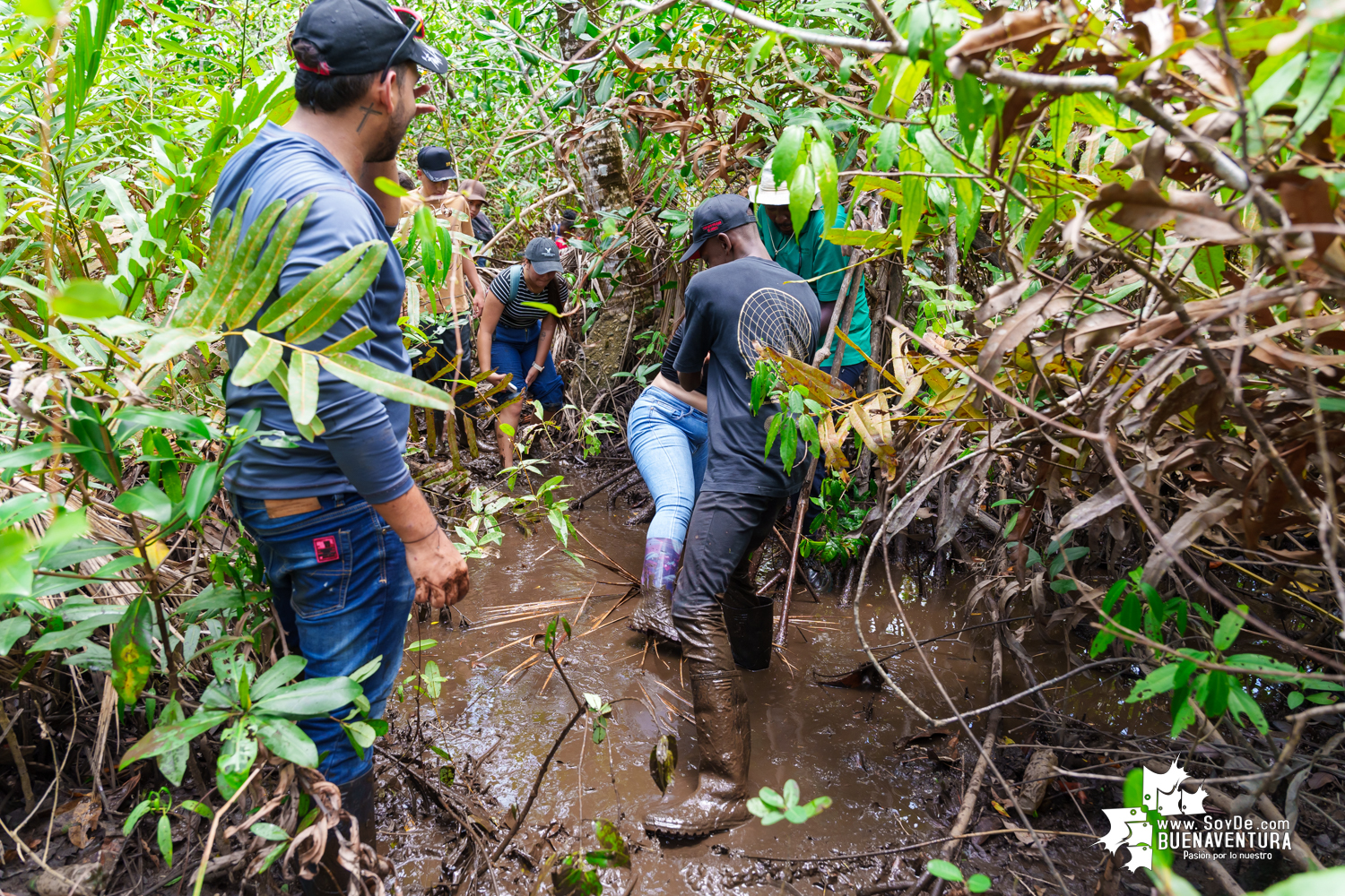 Se realizó jornada ambiental por la conservación de los manglares en Bazán La Bocana