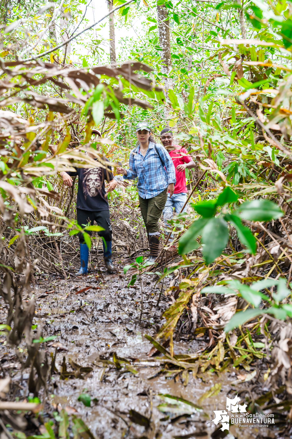 Se realizó jornada ambiental por la conservación de los manglares en Bazán La Bocana