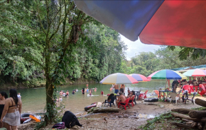 La CVC refuerza controles en sitios de interés de Buenaventura para proteger la flora y fauna