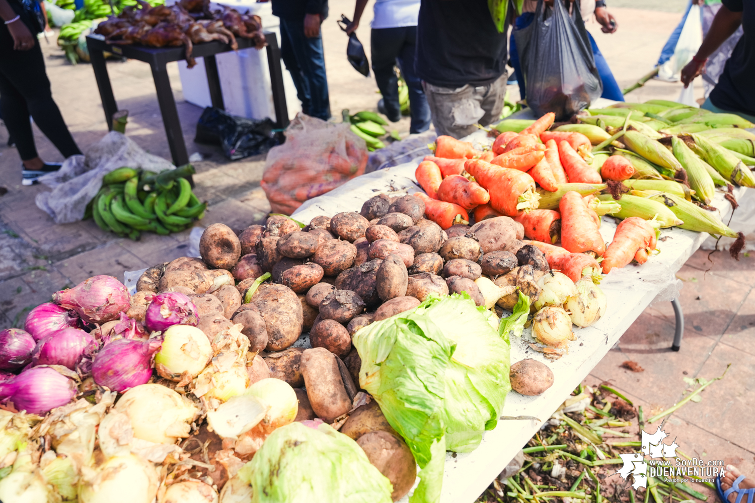 Mercado Campesino de Buenaventura: Una iniciativa que conecta el campo con la ciudad