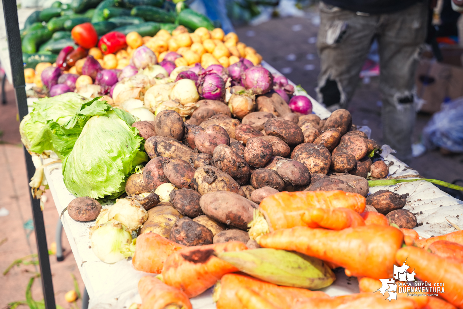 Mercado Campesino de Buenaventura: Una iniciativa que conecta el campo con la ciudad