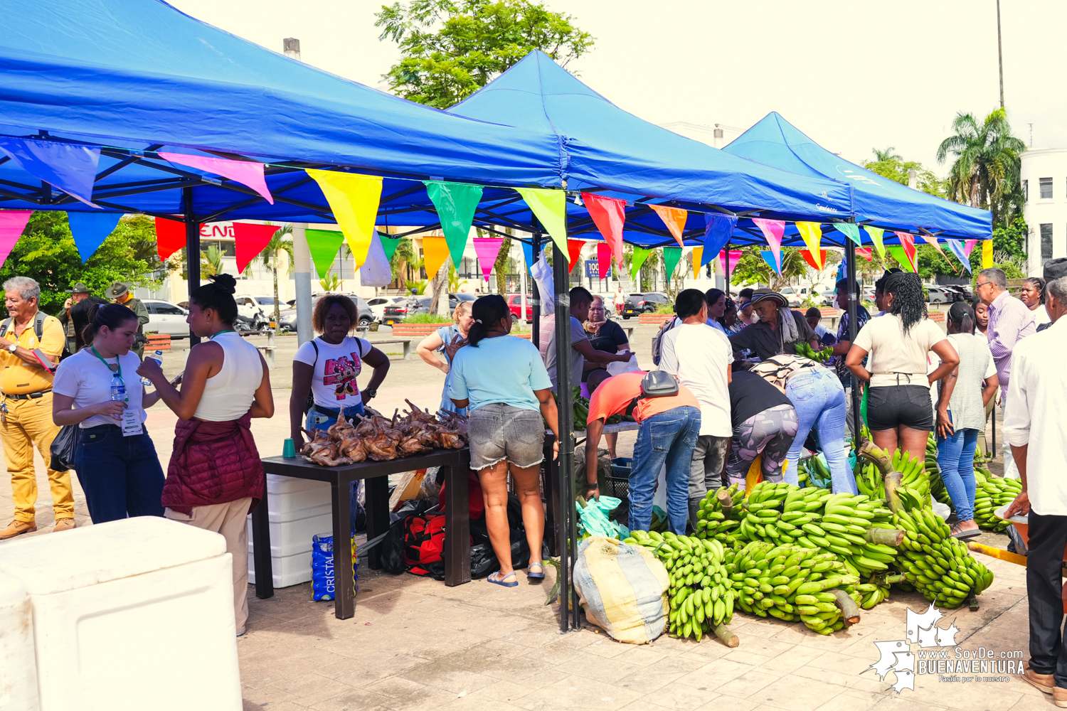 Mercado Campesino de Buenaventura: Una iniciativa que conecta el campo con la ciudad