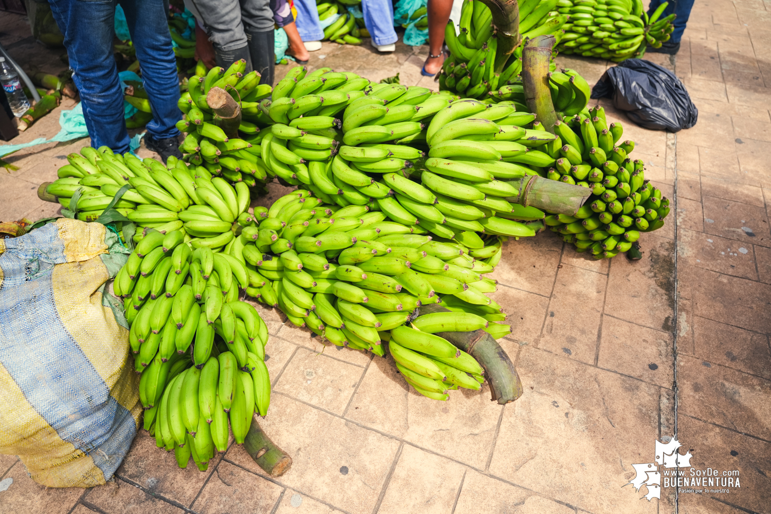 Mercado Campesino de Buenaventura: Una iniciativa que conecta el campo con la ciudad
