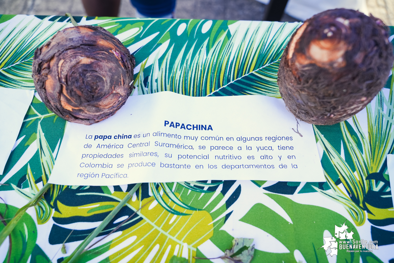 Mercado Campesino de Buenaventura: Una iniciativa que conecta el campo con la ciudad