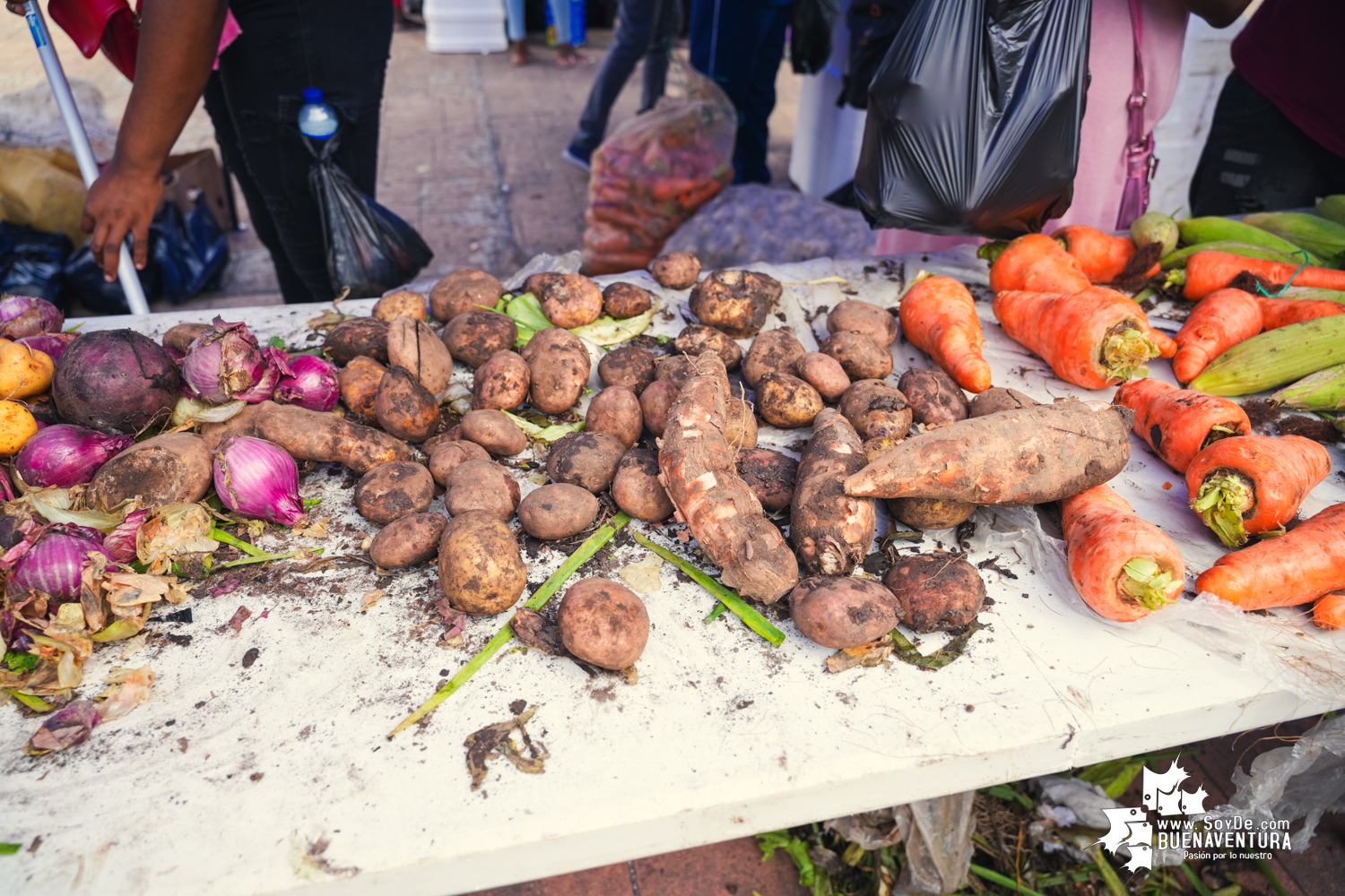 Mercado Campesino de Buenaventura: Una iniciativa que conecta el campo con la ciudad