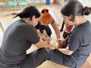 Más de 800 personas recibieron atención médica gratuita en jornada de desarrollo en el Bajo Calima en Buenaventura