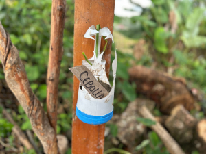 Diez barrios de Buenaventura impulsan el cuidado ambiental con ecotecnias comunitarias