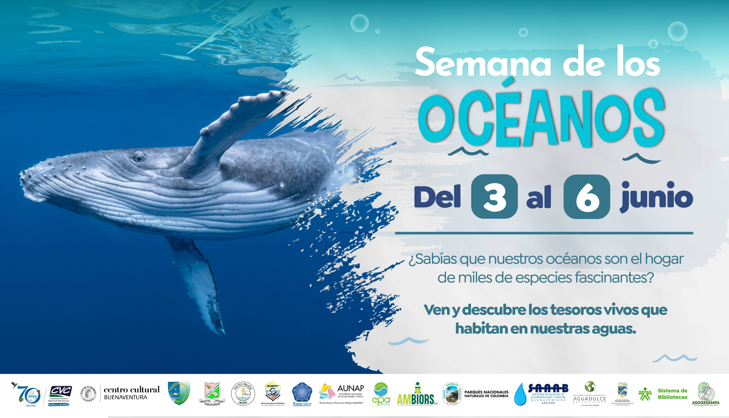 Buenaventura celebrará la riqueza de sus mares con la Semana de los Océanos 2025