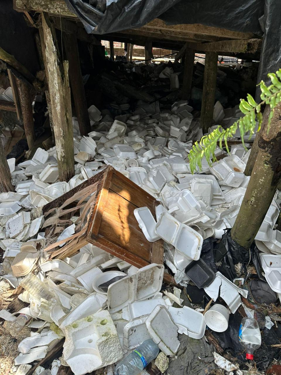 El EPA alerta sobre acumulación de icopor en zonas de bajamar de Buenaventura