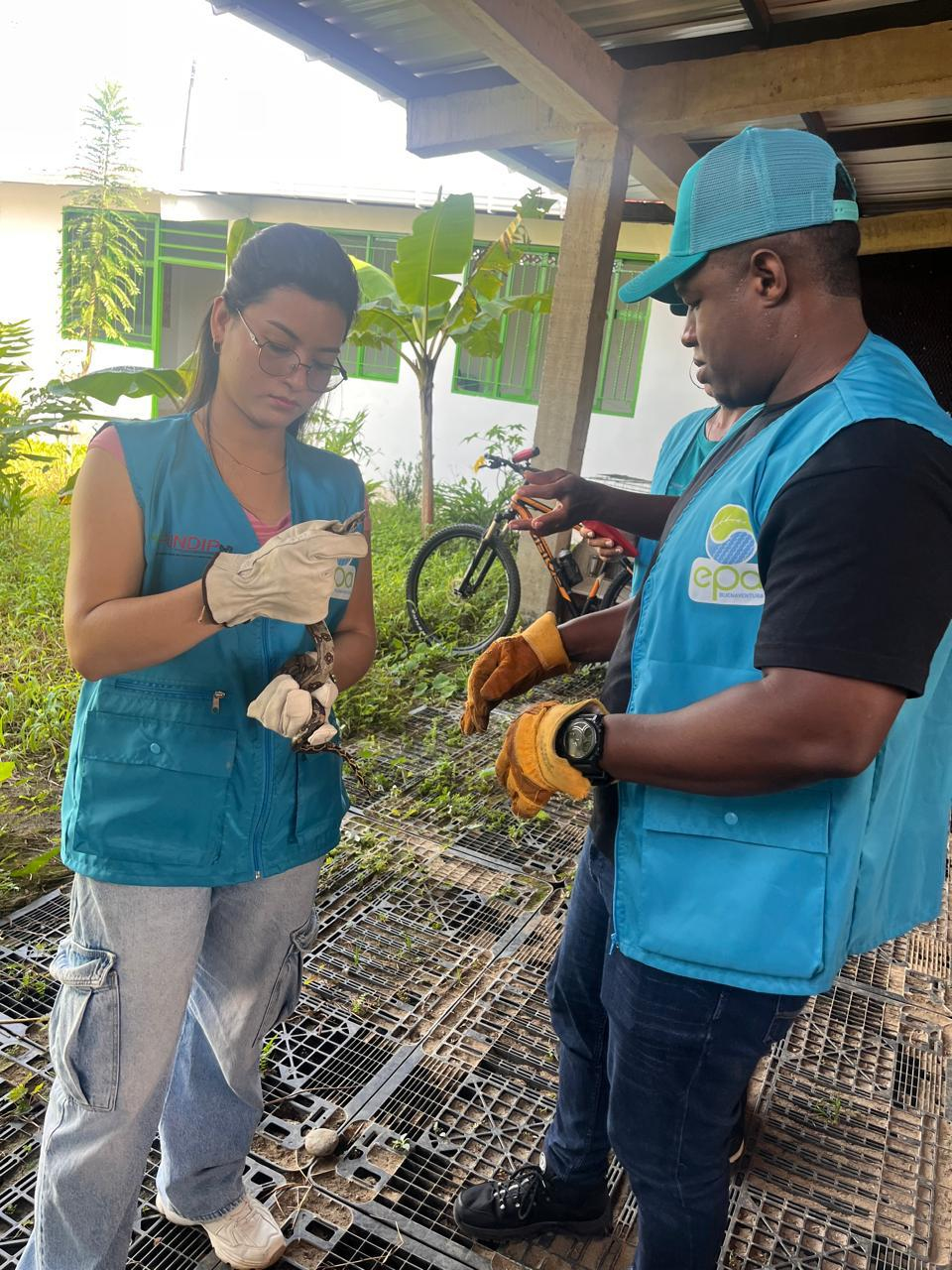 El EPA Buenaventura emite llamado preventivo por presencia de serpientes en temporada de lluvias