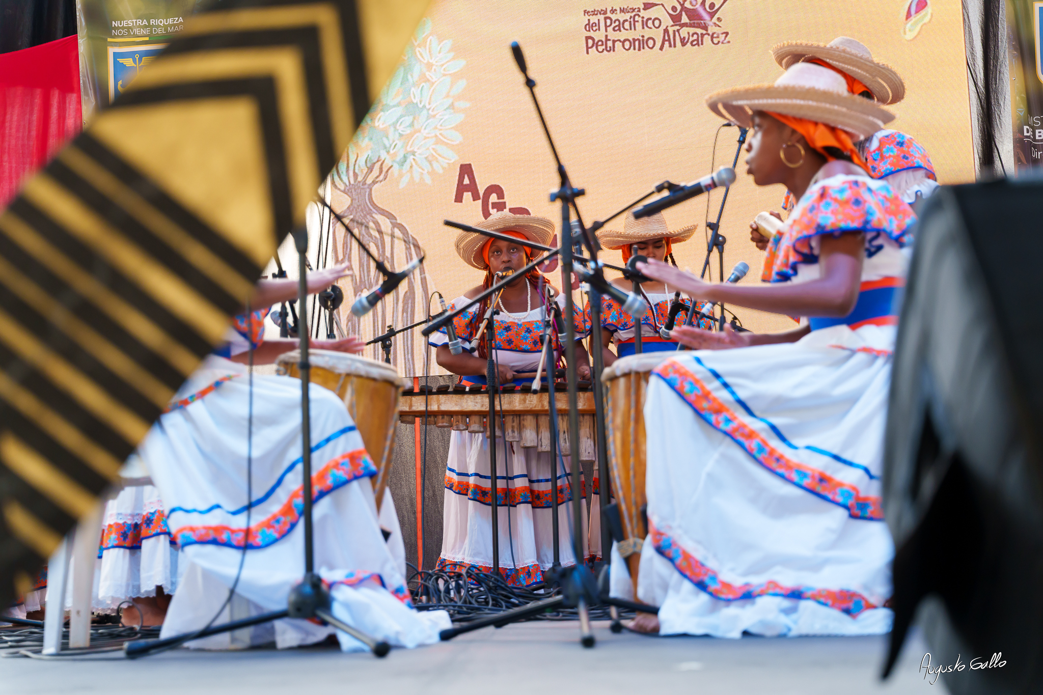 Gran nivel artístico en las audiciones del Petronio Álvarez 2025 en Buenaventura