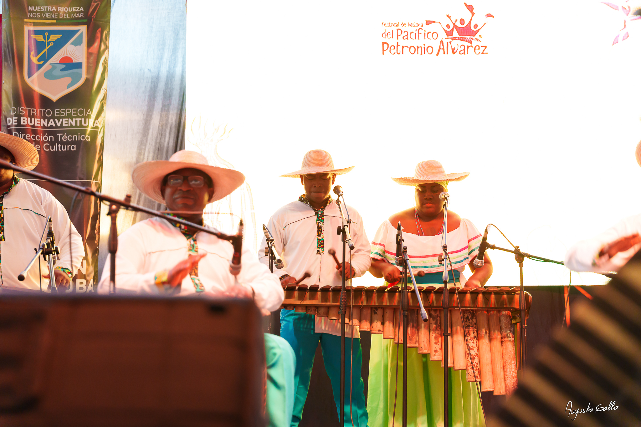Gran nivel artístico en las audiciones del Petronio Álvarez 2025 en Buenaventura