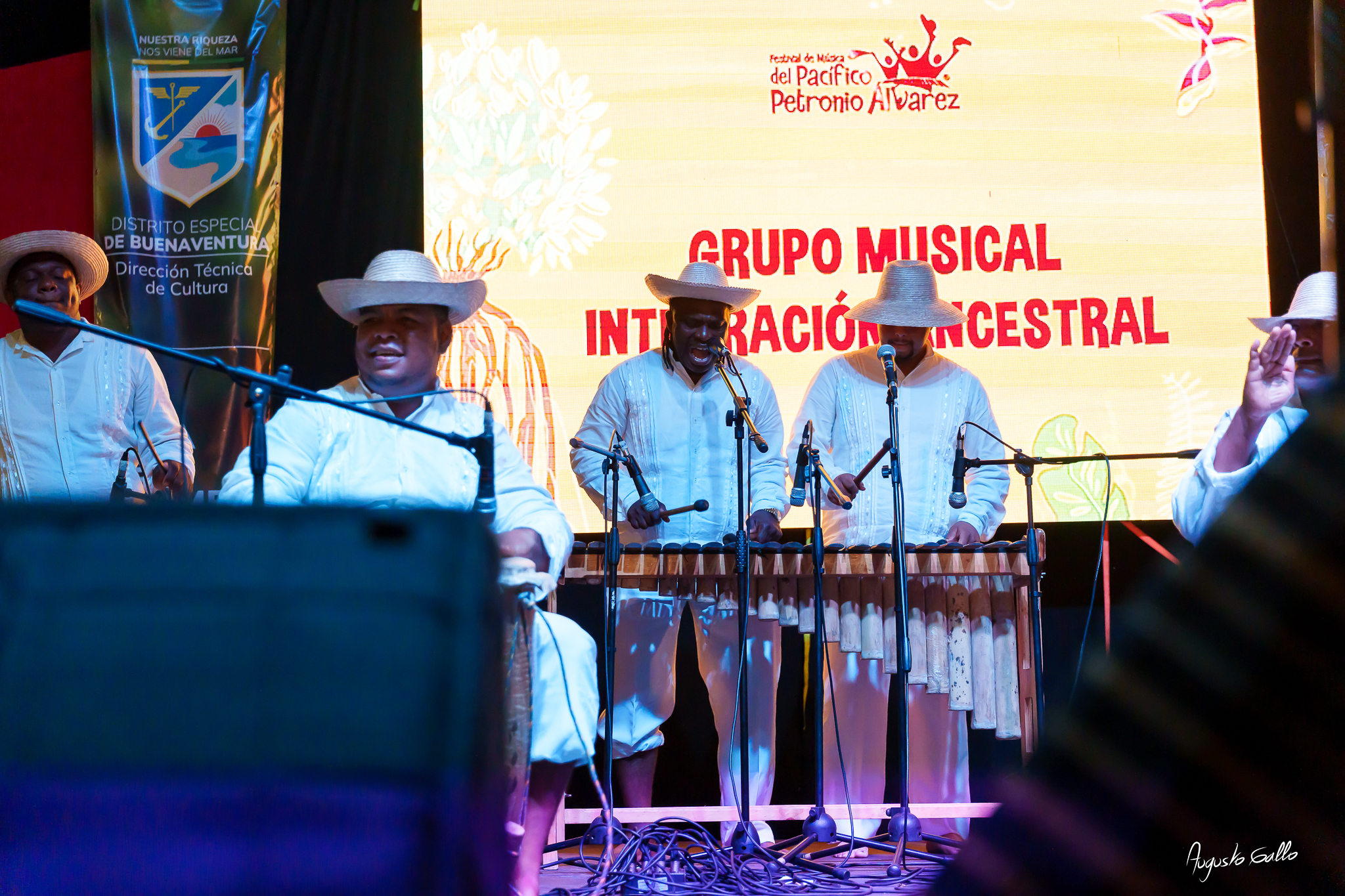 Gran nivel artístico en las audiciones del Petronio Álvarez 2025 en Buenaventura